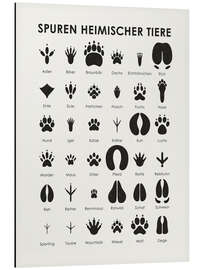 Magnettafel Spuren heimischer Tiere I