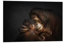 Magnettafel Zeit fuer Zärtlichkeiten Band der Liebe