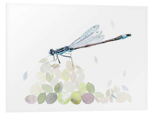 Foam board print Dragonfly Building