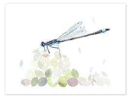 Print  Dragonfly Building - Verbrugge Watercolor