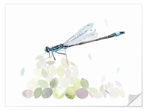 Wall sticker Dragonfly Building