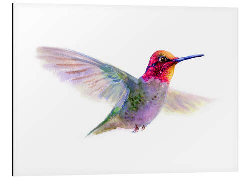 Stampa su alluminio Hummingbird