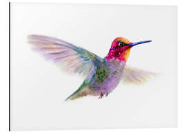 Aluminiumtavla Hummingbird