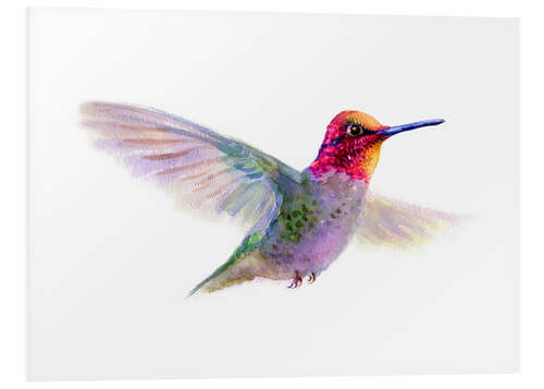 Foam board print Hummingbird