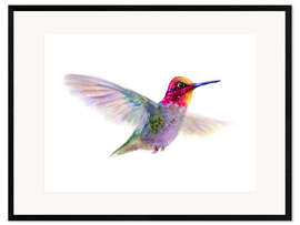 Innrammet kunsttrykk Hummingbird