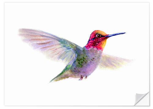 Selvklebende plakat Hummingbird