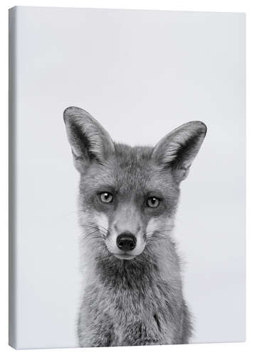 Canvas print Sly eyes