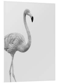 Foam board print Black and white flamingo