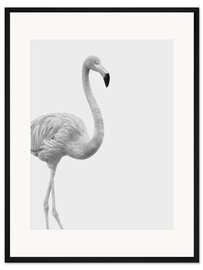 Gerahmter Kunstdruck Flanierender Flamingo in schwarzweiß