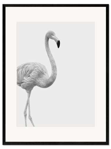 Ingelijste kunstdruk Flamingo flamingo