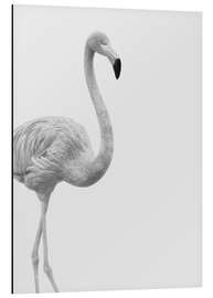 Magnettafel Flanierender Flamingo in schwarzweiß