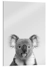 Gallery print Koala