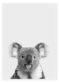 Reprodução  Retrato de um coala a preto e branco - Finlay and Noa