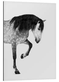 Magnettafel Vom hohen Ross