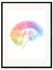 Framed art print Brain anatomy