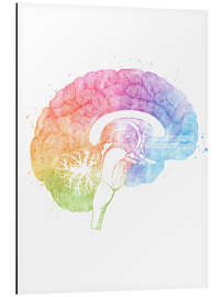 Magnettafel Regenbogen-Gehirn, Querschnitt