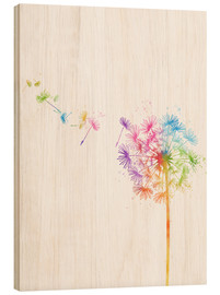Obraz na drewnie  Dandelion Flower - Mod Pop Deco