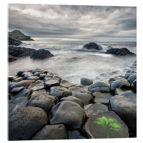 Akrylbilde Giants Causeway