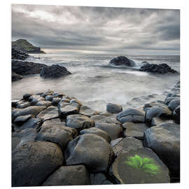 Hartschaumbild Giants Causeway