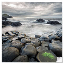 Selvklebende plakat Giants Causeway