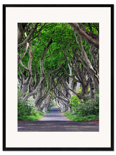 Impression artistique encadrée Dark Hedges en Irlande