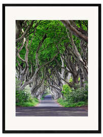 Impression artistique encadrée Dark Hedges en Irlande