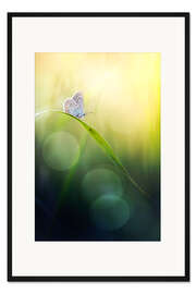 Gerahmter Kunstdruck Mit Flügeln geboren