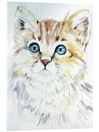 Acrylglasbild Gato