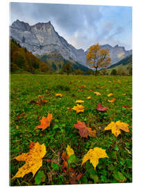 Akryylilasitaulu Autumn leaves