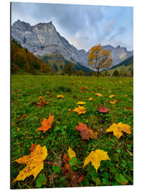 Aluminium print Autumn leaves