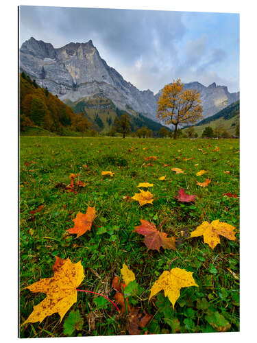 Gallery print Autumn leaves