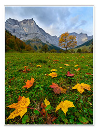 Tableau Feuilles d'érable dans l'herbe à l'automne - Denis Feiner