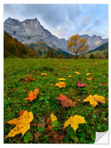 Vinilo para la pared Autumn leaves