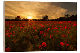 Tableau en bois Champ de coquelicots au coucher du soleil