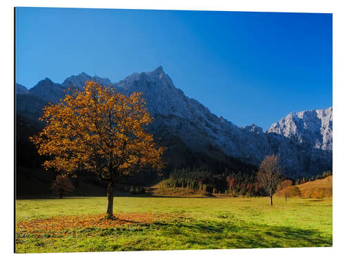 Cuadro de aluminio Autumn in Alps