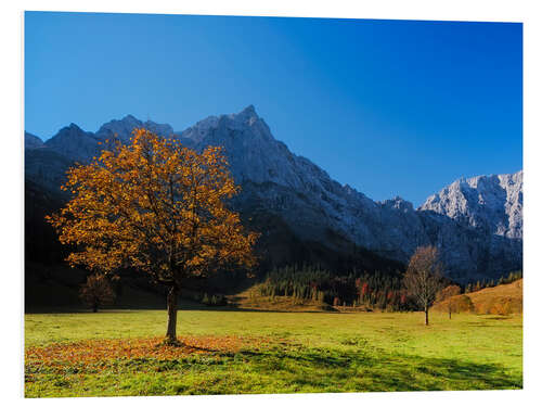 Foam board print Autumn in Alps