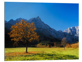 Gallery Print Herbst im Ahornboden