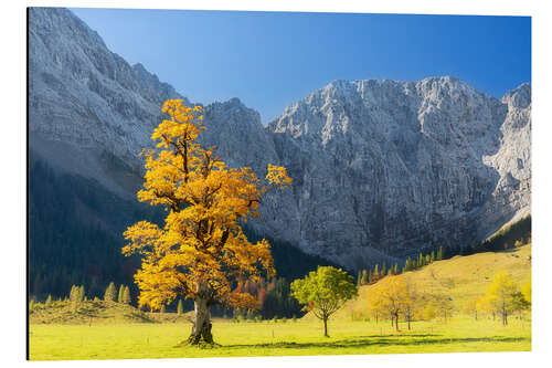 Aluminium print Autumn in Alps