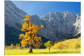 Quadro em plexi-alumínio Autumn in Alps