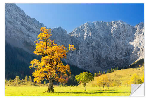 Wandsticker Herbst im Ahornboden im Karwendelgebirge