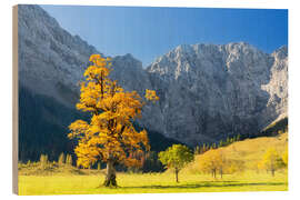 Holzbild Herbst im Ahornboden im Karwendelgebirge