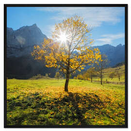 Gerahmter Kunstdruck Herbst im Ahornboden im Karwendelgebirge