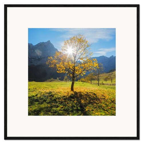 Ingelijste kunstdruk Autumn in Apls
