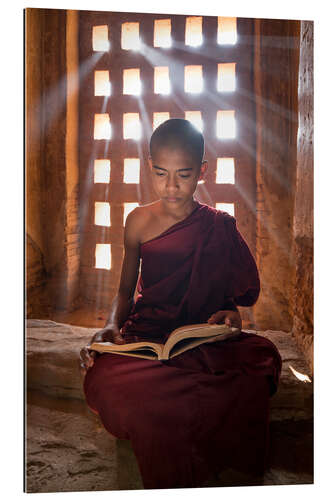 Gallery print Young Burmese monk in meditation at the monastery