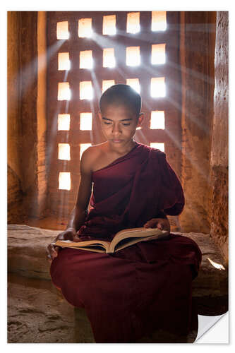 Selvklæbende plakat Young Burmese monk in meditation at the monastery