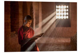 Foam board print Buddhist monk in a monastery in Burma