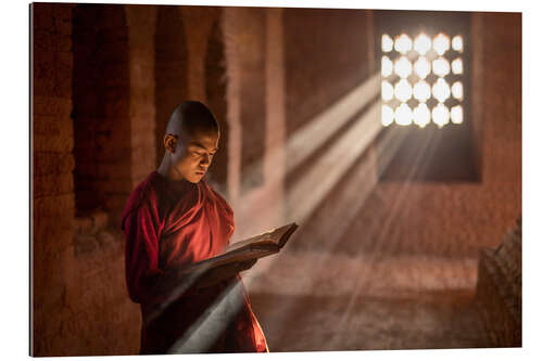 Gallery print Buddhist monk in a monastery in Burma