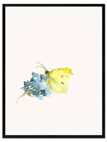 Framed art print brimstone butterfly