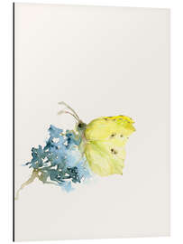 Magnettafel Zitronenfalter