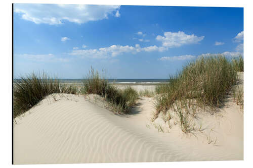 Aluminium print Dune landscape by the sea